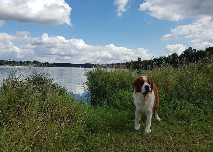 Casa de Férias Feriendomizil Am Zeulenrodaer Zadelsdorf